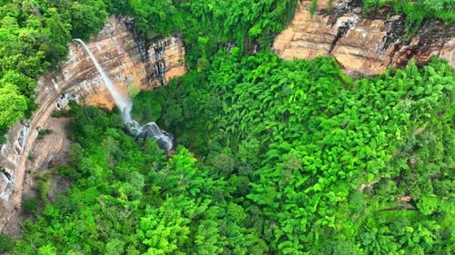 Forest waterfall cascades from cliff, captured by drone.