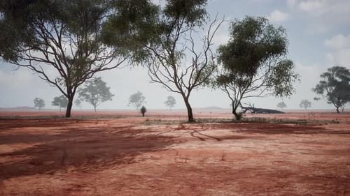 A Scenic Landscape with Red Dirt Field and Trees in the Distance