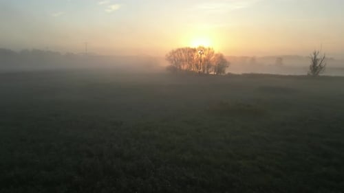 Sunrise over a foggy field with trees silhouetted against the morning light