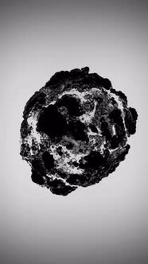 Interacción de partículas biológicas flotantes en 3D