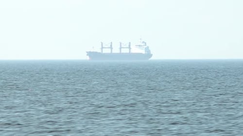 A cargo ship is sailing in a small mist on the sea horizon