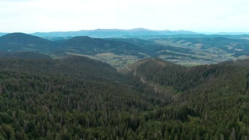 Wide Shot Green Carpathian Mountains in the Morning Calm Beautiful Landscape Aerial View