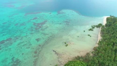 Aerial View of a Tropical Island with Palm Trees and White Sand Beaches Amazing Tropical Island in