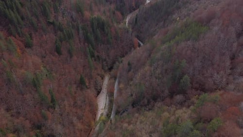 Aerial View of a Autumn Forest Through Which a Winding Road Passes in the Mountains