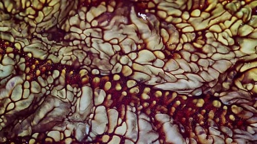 Abstract Organic Pattern with Tessellating Shapes and Texture