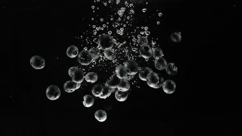 Fresh healthy food. Blueberries falling into water on black background. Fresh fruits splashing