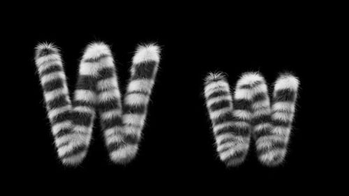 Animação 3D de uma letra de lã Zebra maiúscula e minúscula W