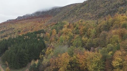Vast Mountain Forest In Autumn