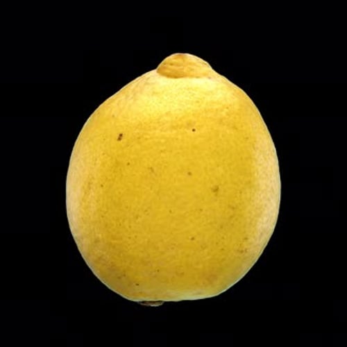 Rotating 3D Lemon - Seamless Endless Loop in 4K