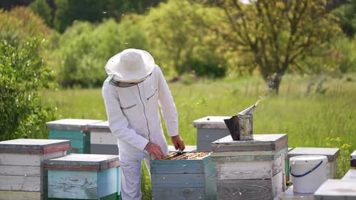 Beekeeping worker in protective uniform. Man beekeeper in uniform working on beehive field.