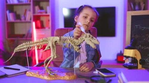 Girl Assembling Dinosaur Skeleton at Home