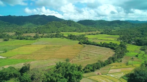 Aerial Landscape View of Rice Field with Mountain and Tropical Forest in the Background Scenic