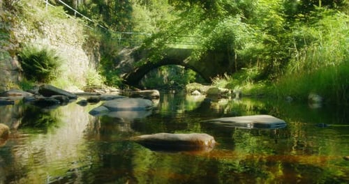 Old stone bridge over a peaceful river surrounded by lush greenery and trees in summer light in Germ