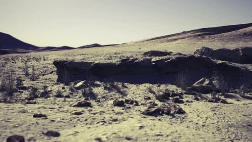 Detailed View of Weathered Rock Formation with Grasses in Fissures