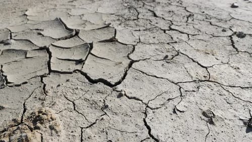 Dry Cracked Ground Showing Effects of Drought