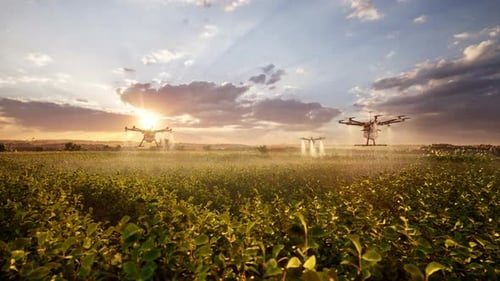 Agricultural Drones Spraying Pesticides Over A Field At Sunset