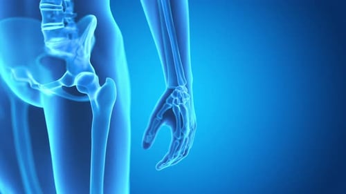 Human skeletal hand and wrist movement in a medical animation