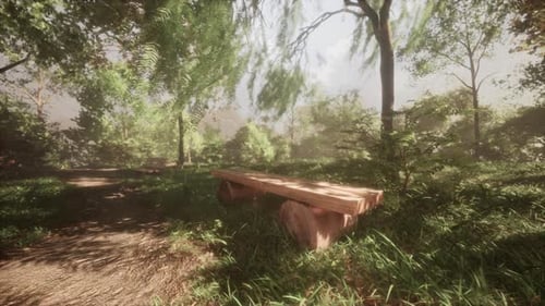 Blank Old Wooden Bench in a Shady Area of the Garden or the Park
