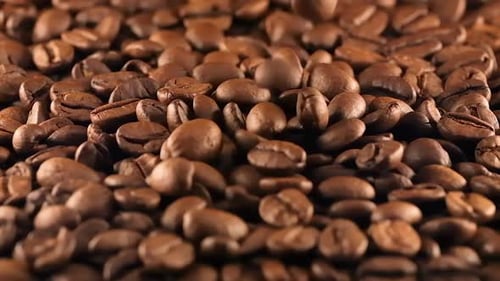 Roasted Coffee Beans Falling in Pile