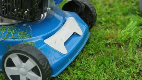 Tondeuse à gazon qui coupe le gazon Les petites herbes coupées volent hors de la tondeuse à gazon Les tontes de gazon sont crachées