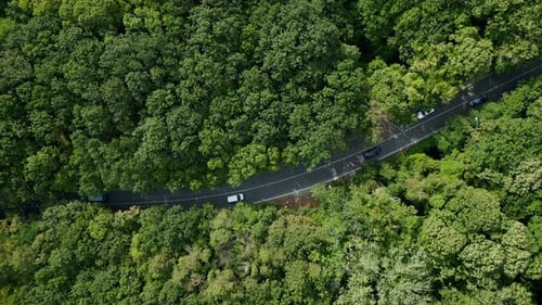 Drone Video of a Car Driving Through a Winding Road Surrounded By Dense Green Forest The Serene