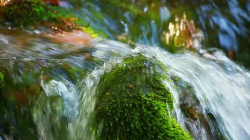 Stream of Water Flows Over a Green Moss on a Stone Blurred Motion