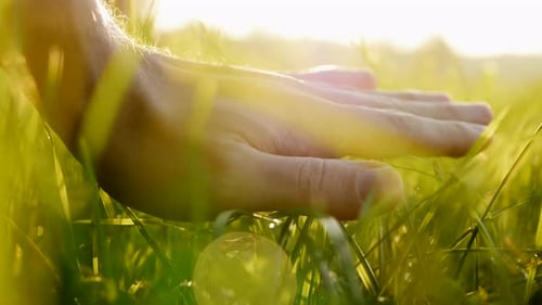 Persona tocando el campo de hierba verde con la mano sintiendo la primavera