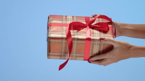 Giving a Wrapped Birthday Gift Present Close Up