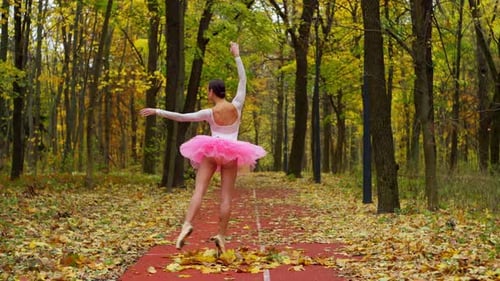Ballerina in the Autumn Forest Dance Among Golden Leaves and Graceful Movements