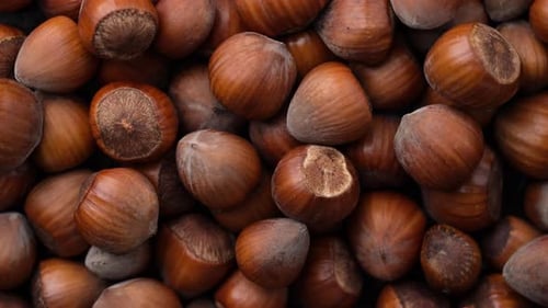 Close Up Shot of a Pile of Hazelnuts