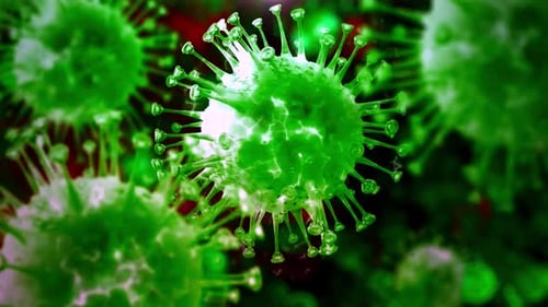 Microscopic view of virus cells flowing