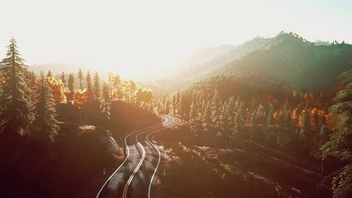 An Empty Road Winding Through a Forest During a Breathtaking Sunset