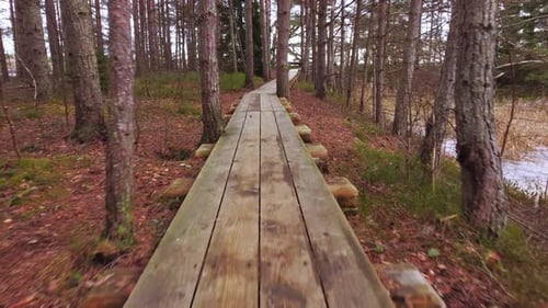 Drone flying low over rural wooden plank path inside a mystic forest at day time