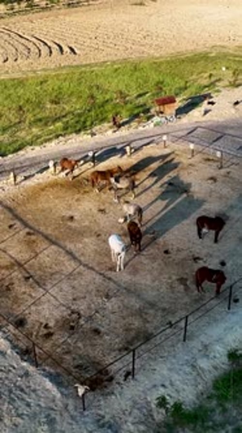 Vertical Video Horseback Riding in Cappadocia Aerial View
