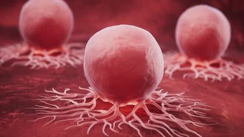 Biological cancer cell and disease