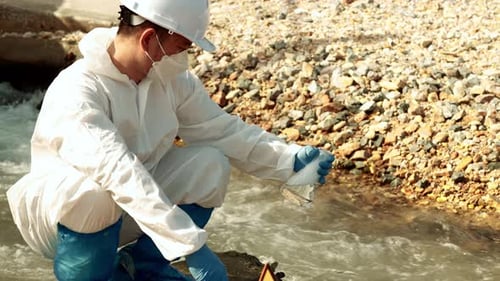 Scientist Taking Water Sample in Stream