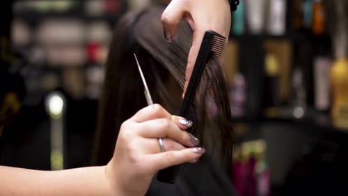 Hair Stylist Cutting Long Brown Hair in Salon