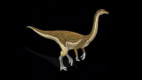 Gallimimus Dinosaurier Walk Idle