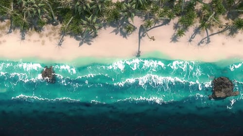 Luftaufnahme wachsender Palmen an einem tropischen Strand im Zeitraffer