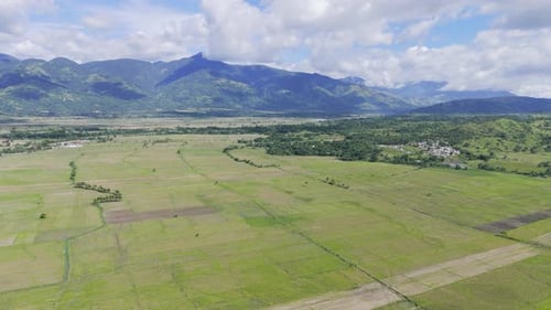 Drone view of rice fields, green mountain, cloudy sky, forest and more