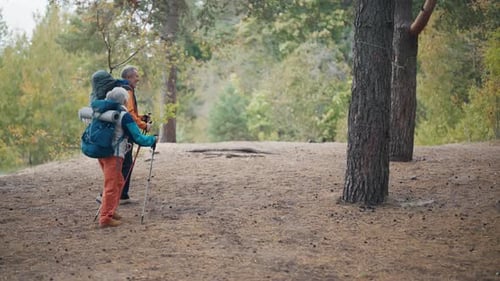 Senior Hikers Hike on Nature Autumn Park Holding Nordic Sticks Talking Discussing Route Tourists Man
