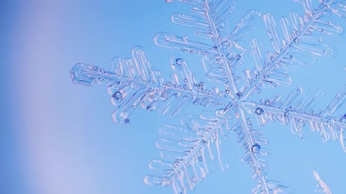 Snowflake close up under microscope panning view blue background fine details