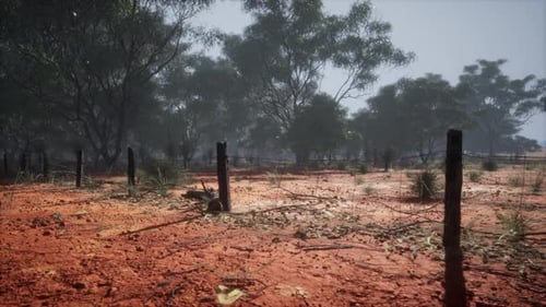 Panoramic View of Dry Rural Landscape with Old Fence Posts