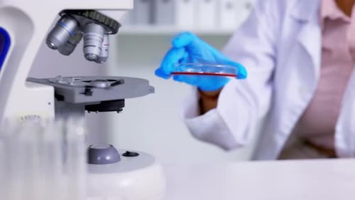 Scientist Placing Petri Dish Under Microscope in Lab
