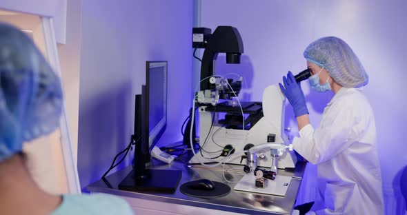 Embryologist Conducting IVF Procedure in Laboratory, Science Stock ...