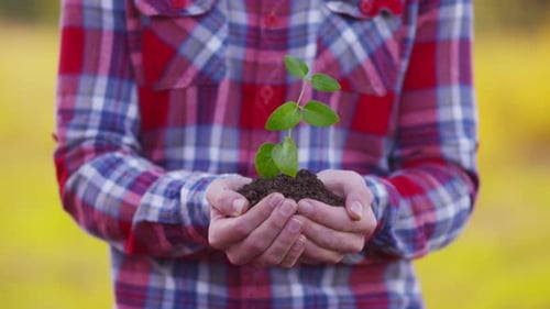 Farmer lovingly holds a young plant sprout representing new growth on the farm