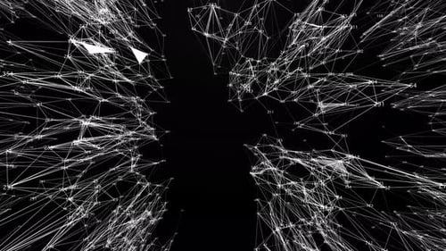 Digital Network .Plexus White Background