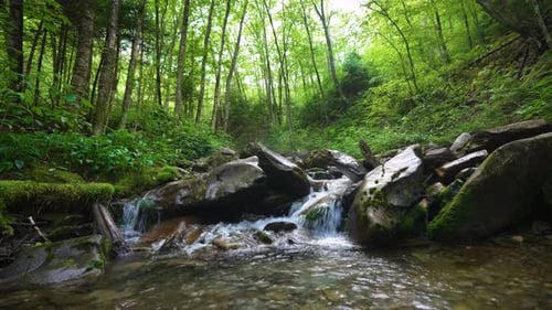 Scenic Woodland Small Waterfall Surrounded By Lush Greenery and Rocky Terrain Clear Water Flowing