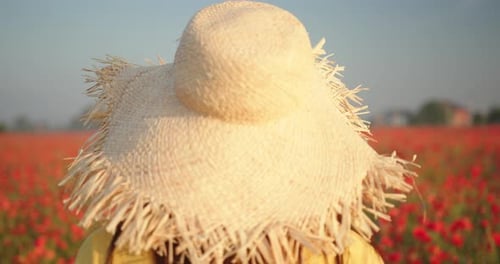 Rear View of Woman in a Yellow Dress and Straw Hat Walking in Poppy Field at Sunrise