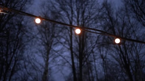 String Lights Glowing in Winter Night Snowfall